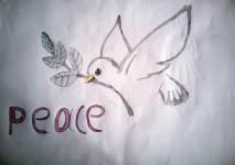 The-dove-of-peace